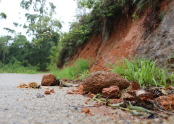 Defesa Civil de Jaraguá do Sul mantém alerta para deslizamentos de terra