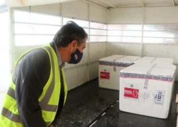 Distribuição das doses da vacina de Oxford começa hoje (25) em Santa Catarina