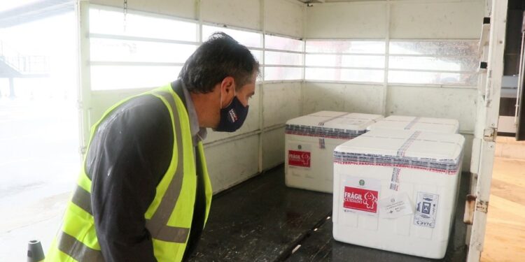 Distribuição das doses da vacina de Oxford começa hoje (25) em Santa Catarina