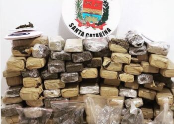 Polícia Militar efetua operação e prende 70 quilos de maconha em Penha