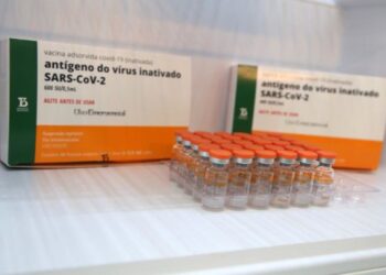 Vacina: Governo de SC acompanha entrega das primeiras doses hoje (18)