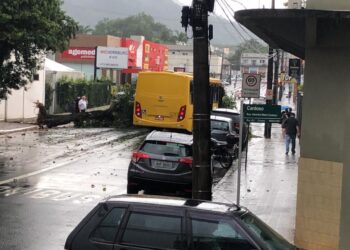 Ônibus é atingido por árvore que caiu na avenida Marechal Deodoro da Fonseca