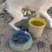 Polícia Militar encontra três cães amarrados e sem alimentação em Guaramirim