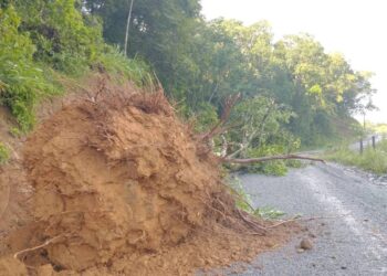 Defesa Civil de Guaramirim atende ocorrências após temporal na noite de terça (16)