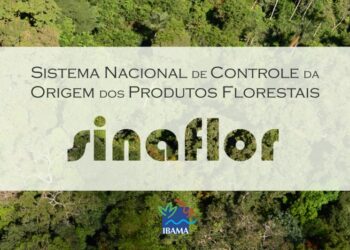 Fujama já adota o Sinaflor para solicitações de corte de vegetação