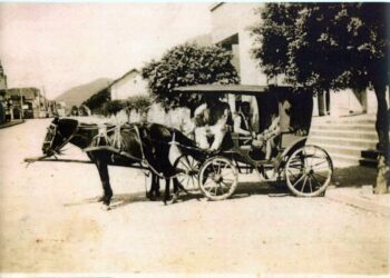 O trole: memória e história do transporte de tração animal por Ademir Pfiffer – Historiador