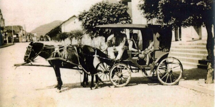 O trole: memória e história do transporte de tração animal por Ademir Pfiffer – Historiador