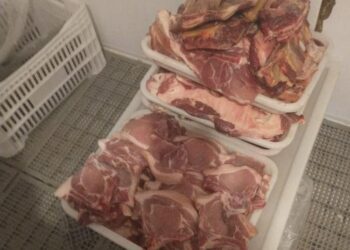 Dois mil quilos de carne estragada são apreendidos de supermercado em Guaramirim