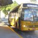Com novo edital, preço da passagem de ônibus em Jaraguá deve cair 20%