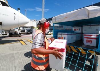 Santa Catarina recebe mais 85 mil doses e pode começar imunização contra Covid-19 em idosos acima de 90 anos