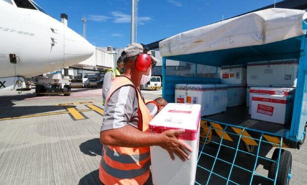 Santa Catarina recebe mais 85 mil doses e pode começar imunização contra Covid-19 em idosos acima de 90 anos
