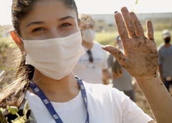 WEG promove plantio de árvores em Jaraguá do Sul