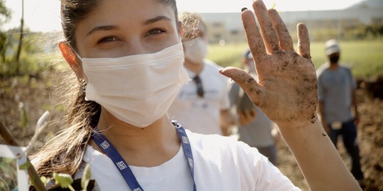 WEG promove plantio de árvores em Jaraguá do Sul
