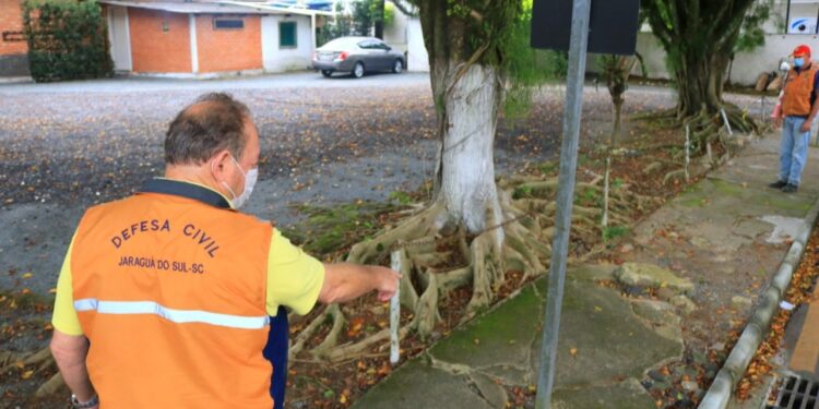 Rua Marina Frutuoso será interditada para corte de árvores em Jaraguá do Sul