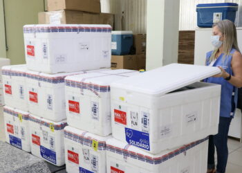 Santa Catarina recebe lote com mais de 147 mil vacinas Coronavac e começa distribuição