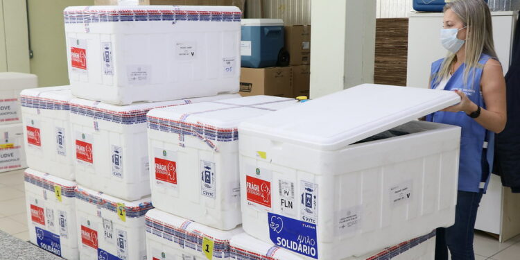 Santa Catarina recebe lote com mais de 147 mil vacinas Coronavac e começa distribuição