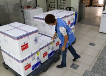 Vacinação em SC: Estado recebe 91,2 mil doses da vacina Coronavac