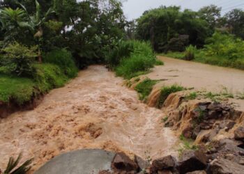 Jaraguá do Sul registra 100 mm de chuva nesta segunda-feira (01)