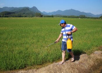 Prosseguem os testes com o controlador bioativo do maruim