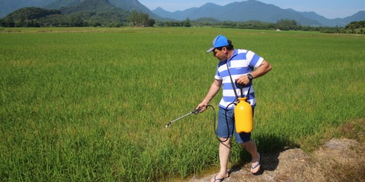 Prosseguem os testes com o controlador bioativo do maruim