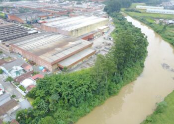 WEG vai ajudar a recuperar a mata ciliar do Rio Itapocu, em Jaraguá do Sul