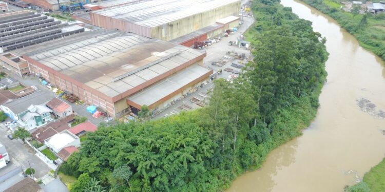 WEG vai ajudar a recuperar a mata ciliar do Rio Itapocu, em Jaraguá do Sul
