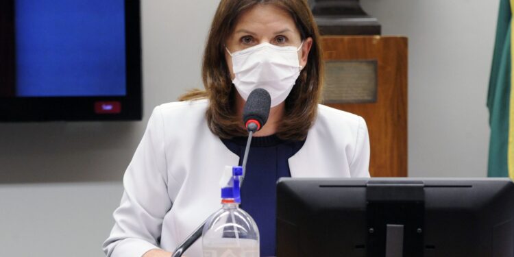 Veja o que muda: Santa Catarina tem novo decreto