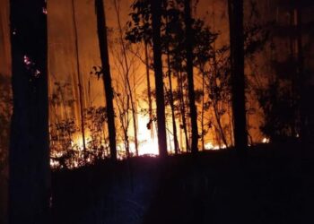 Área de reflorestamento de 70 mil m² é atingida por incêndio em Santa Catarina