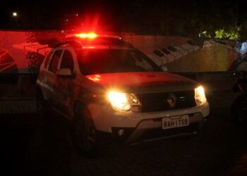 Mulher é responsabilizada por seu pitbull estar solto em via pública em Jaraguá do Sul