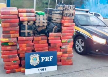 Polícia Rodoviária Federal apreende quase uma tonelada de maconha em Mafra
