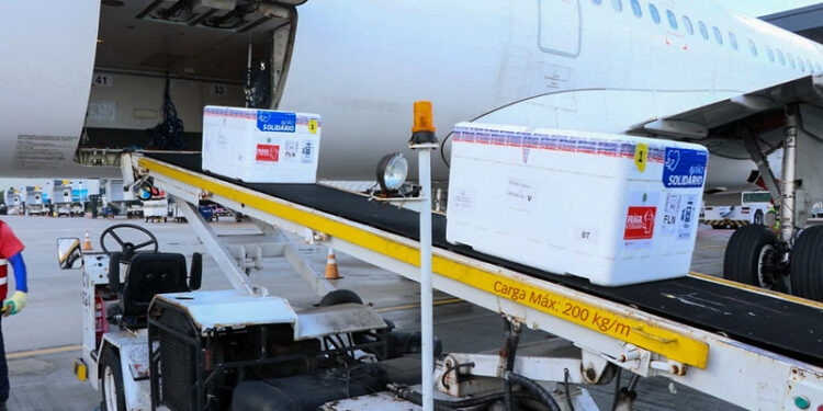 Santa Catarina recebe nova remessa com 144,7 mil doses da vacina contra Covid-19