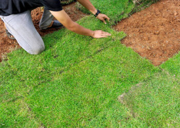 Homem e mulher são presos após furtarem grama em Guaramirim