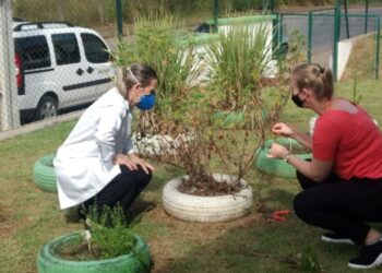 Jaraguá do Sul firma parceria para o cultivo de plantas medicinais