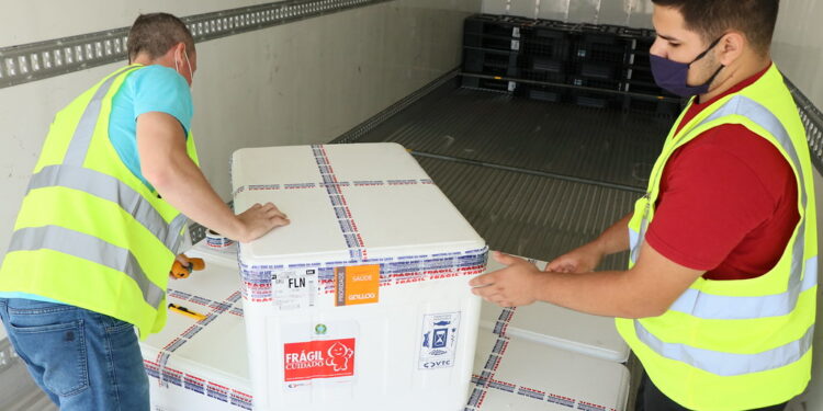 Mais de 50 mil novas doses da vacina Coronavac chegam em Santa Catarina