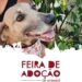 Feira de Adoção de animais será realizada neste sábado (29) em Guaramirim