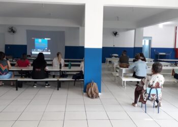 Profissionais da Educação de Guaramirim participam de formação online