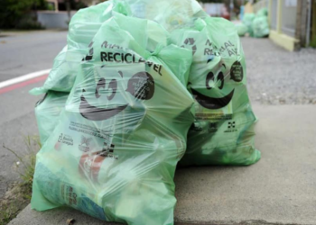 Jaraguá do Sul é destaque no Dia Mundial da Reciclagem