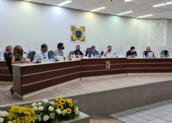 Vereadores de Guaramirim aprovam apoio para a Ação Social e Associação Fome de Amor