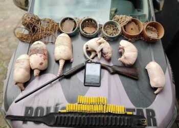 Homem é preso por caçar tatus em Jaraguá do Sul