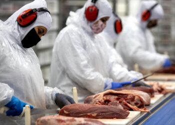 Condor investe R$ 45 milhões em Entreposto de Carnes e Fiambreria, em Curitiba