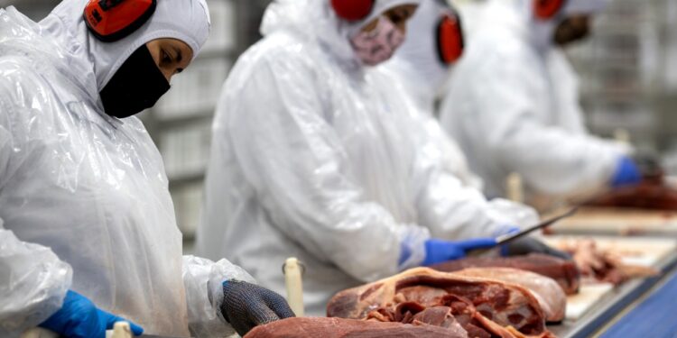 Condor investe R$ 45 milhões em Entreposto de Carnes e Fiambreria, em Curitiba