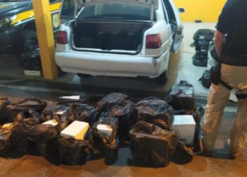 PRF flagra veículo com 394 garrafas de vinho na BR 101, em Barra Velha