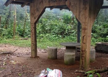 Choupanas são alvos de vandalismo em Schroeder