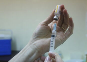 Febre amarela: Jaraguá do Sul aguarda exames de dois macacos mortos