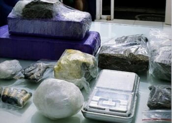 Maconha e munições são apreendidas em ocorrências na região de Jaraguá do Sul