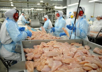 Indústrias de carnes do Brasil alertam para alta de preço e pedem apoio do governo