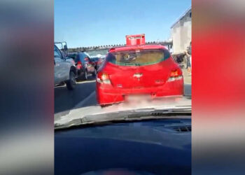 [Vídeo] Vaca pega ‘carona’ e é transportada em porta-malas de carro na BR-101, em Santa Catarina