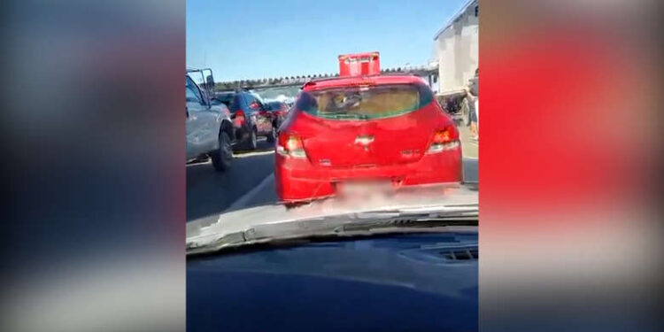 [Vídeo] Vaca pega ‘carona’ e é transportada em porta-malas de carro na BR-101, em Santa Catarina