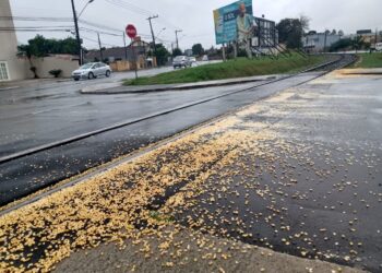 Rumo Logística é notificada pela queda de grãos em Jaraguá do Sul