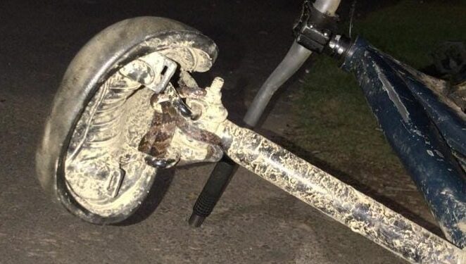 Cobras são resgatadas em lugares inusitados em Jaraguá do Sul